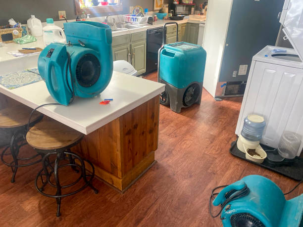 Best Water damage restoration near me  in New Freedom, PA