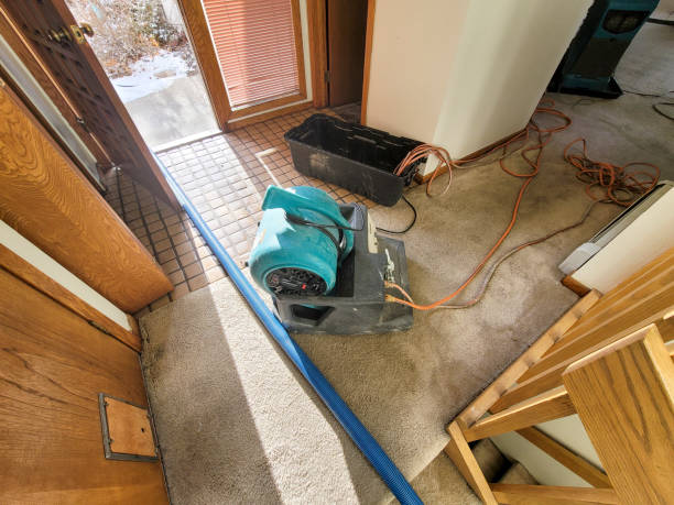 Best Ceiling water damage repair  in New Freedom, PA