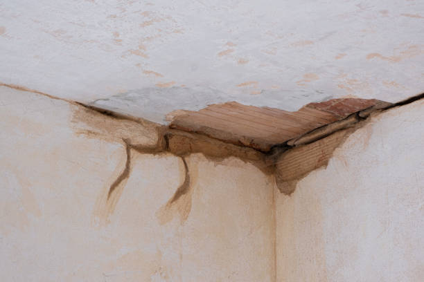  New Freedom, PA Water damage restoration Pros
