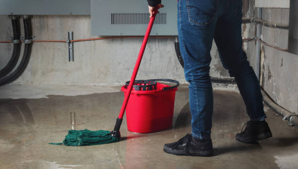 Best Professional water damage repair  in New Freedom, PA
