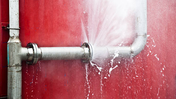 Best Flooded house restoration  in New Freedom, PA